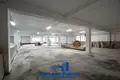 Warehouse 501 m² in Kirsy, Belarus