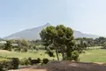 2 bedroom apartment 114 m² San Pedro Alcantara, Spain