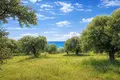Land 9 312 m² Neos Marmaras, Greece