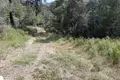Parcelas  Tasos, Grecia