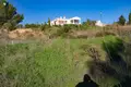Land  Madalena, Portugal