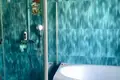 House 10 rooms 400 m² Lymanka, Ukraine