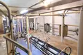 Cottage 1 bathroom 800 m² in Great Plain and North, Hungary