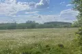 Land  Ozyaritska-Slabadski rural council, Belarus