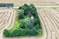 Dom 77 m² Kirdonys, Litwa