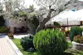 Отель 600 м² Город Ровинь, Хорватия