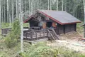 Коттедж 58 м² Ээнекоски, Финляндия