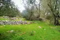 Land 1 room  Agnitsini, Greece