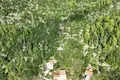 Land 51 001 m² Cara, Croatia
