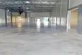 Propiedad comercial 1 454 m² en Masionys, Lituania