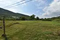 Działki 7 333 m² Kolasin Municipality, Czarnogóra