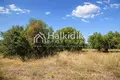 Atterrir 15 000 m² Pefkochori, Grèce