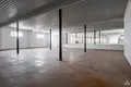 Manufacture 4 652 m² in Krapes pagasts, Latvia
