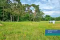 Land 1 511 m² Nieczajna, Poland