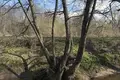 Land  Dziamidavicki sielski Saviet, Belarus
