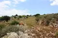 Parcelas 1 habitación  Kefalas, Grecia
