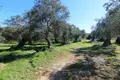 Земельные участки 1 комната 44 000 м² Municipality of Southern Corfu, Греция
