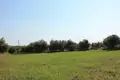 Atterrir 1 chambre 5 800 m² Romanos, Grèce