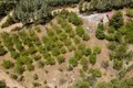 Land 11 m² Bucak, Turkey