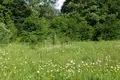 Atterrir 450 m² Tbilissi, Géorgie