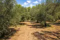 Atterrir 16 728 m² Neos Marmaras, Grèce