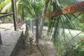 Maison 3 chambres 227 m² Pollytilly Bight, Honduras