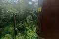   Добринёвский сельский Совет, Беларусь