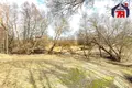 House 54 m² Ivianiecki sielski Saviet, Belarus
