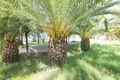 Dom 2 pokoi 145 m² Municipality of Sithonia, Grecja
