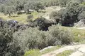 Parcelas 1 605 m² Municipality of Nafplio, Grecia