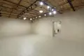 Propriété commerciale 480 m² à Riga, Lettonie