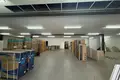 Lager 2 100 m² Ypsonas Municipality, Zypern