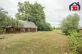 Ferienhaus 99 m² Viazyn, Belarus