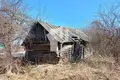Casa  Turynski sielski Saviet, Belarús