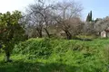 Земельные участки 1 комната  Агия - Елени, Греция