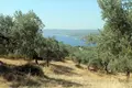 Land 1 room  Aristotle Municipality, Greece