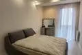 1 bedroom rent in park hill saburtalo