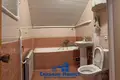 Cottage 418 m² Sienica, Belarus