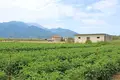 Land  Agios Spiridonas, Greece