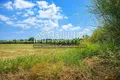 Atterrir 45 000 m² Kalyves Polygyrou, Grèce
