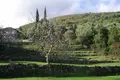 Parcelas 2 000 m² Bijela, Montenegro
