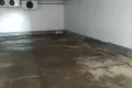 Produktion 560 m² Carnicki, Belarus