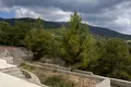 Дом 7 спален 2 000 м² Като Платрес, Кипр