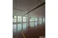 Almacén 9 000 m² en Kamez Municipality, Albania