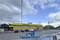 Nieruchomości komercyjne 344 m² Rzeczyca, Białoruś