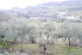 Grundstück 12 zimmer 430 000 m² Camporotondo di Fiastrone, Italien