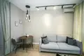 Квартира 1 комната 32 м² Минск, Беларусь