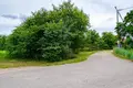 House 44 m² Mir, Belarus