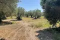 Земельные участки 1 комната  Municipality of Southern Corfu, Греция