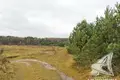 Land 64 m² Masievicy, Belarus